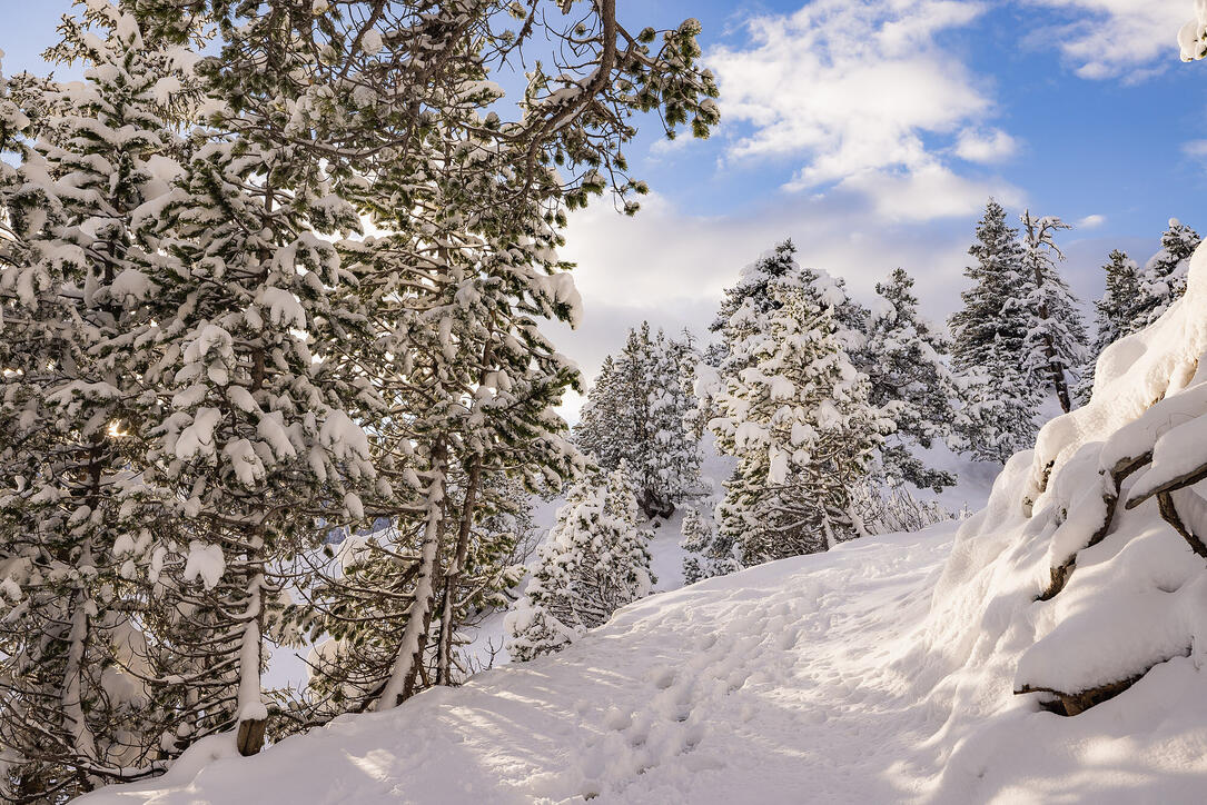 Der erste Schnee in Malbun und Steg