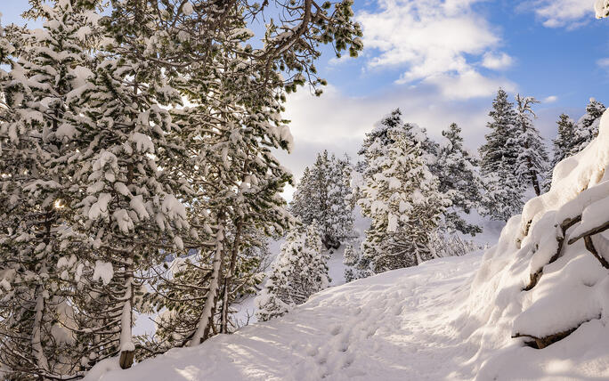 Der erste Schnee in Malbun und Steg