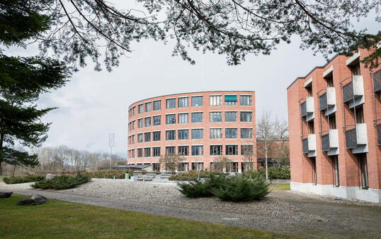 Gymnasium Vaduz Provisorium Schule 150225