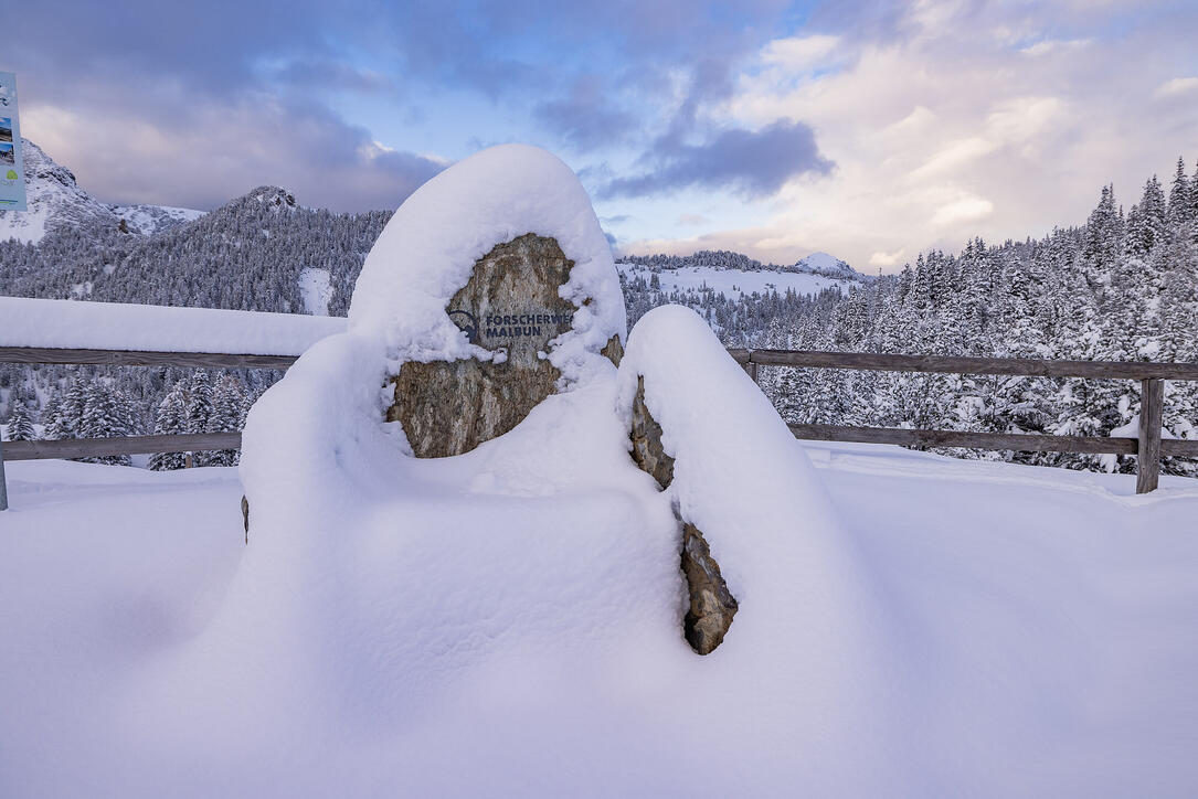 Der erste Schnee in Malbun und Steg