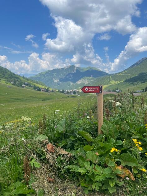 Alpherzweg Malbun - Leserwettbewerb