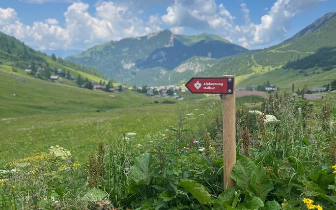 Alpherzweg Malbun - Leserwettbewerb