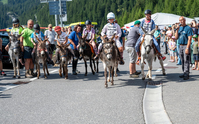 Eselfest, in Malbun