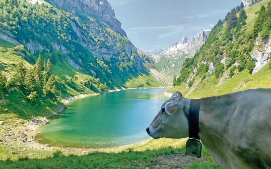 Drei-Seen-Wanderung im Alpstein