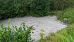 Hochwasser Rhein und Kanal